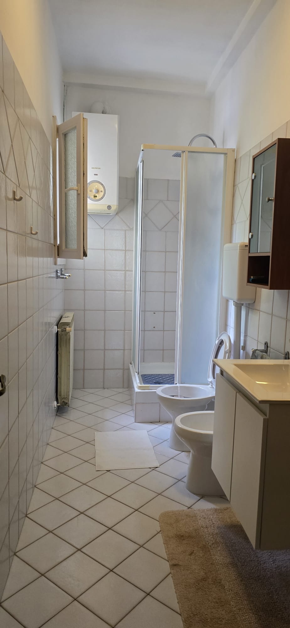 Bagno dell'appartamento con doccia e lavabo